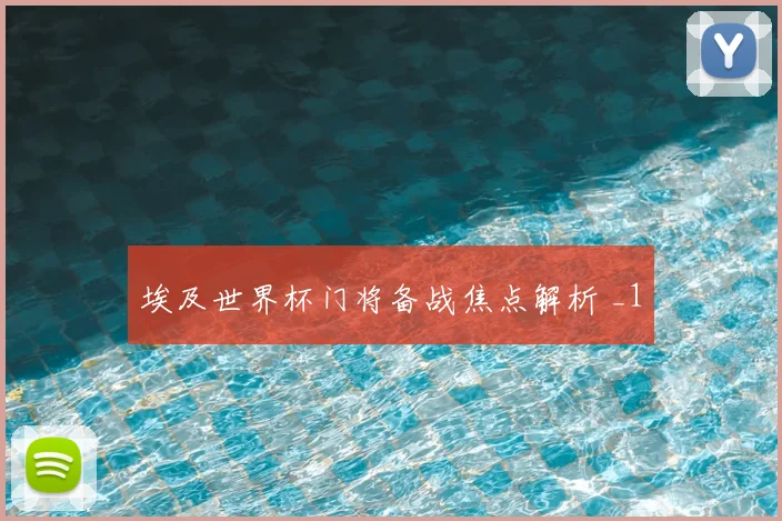 埃及世界杯门将备战焦点解析 _1