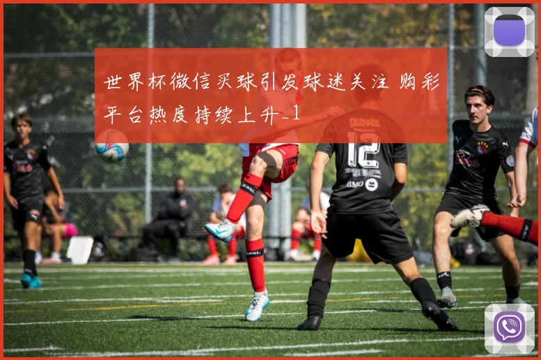 世界杯微信买球引发球迷关注 购彩平台热度持续上升_1
