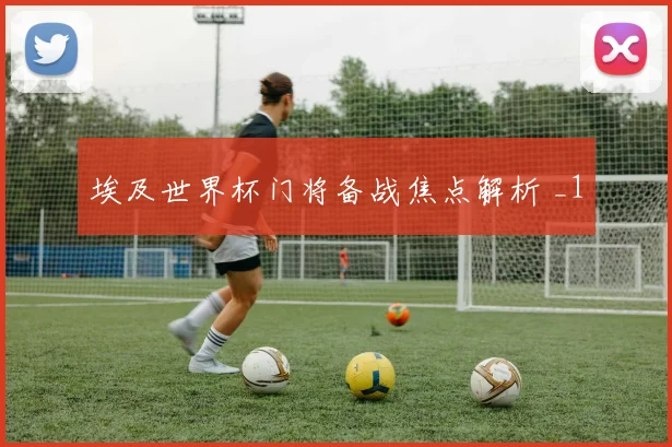 埃及世界杯门将备战焦点解析 _1