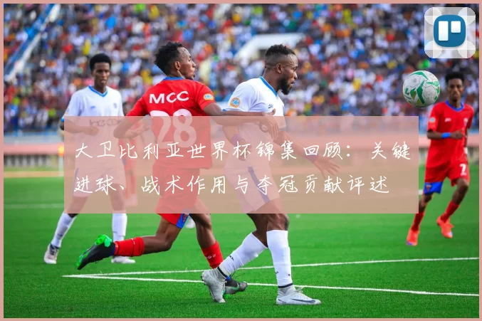 大卫比利亚世界杯锦集回顾：关键进球、战术作用与夺冠贡献评述