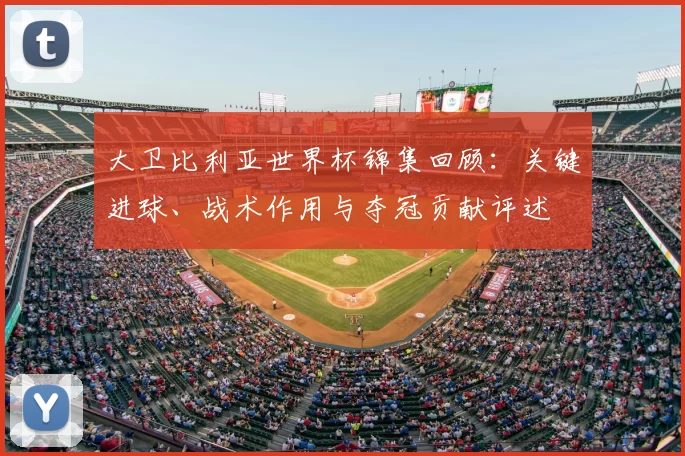 大卫比利亚世界杯锦集回顾：关键进球、战术作用与夺冠贡献评述